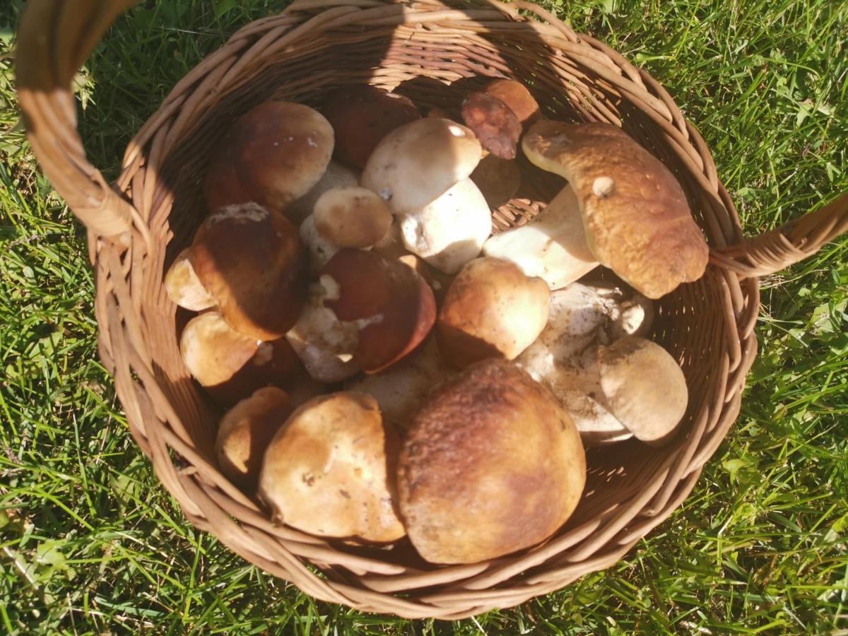 Korczowa Agrochalupki 아파트 외부 사진